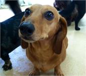 daycare pic 28 - Tillie